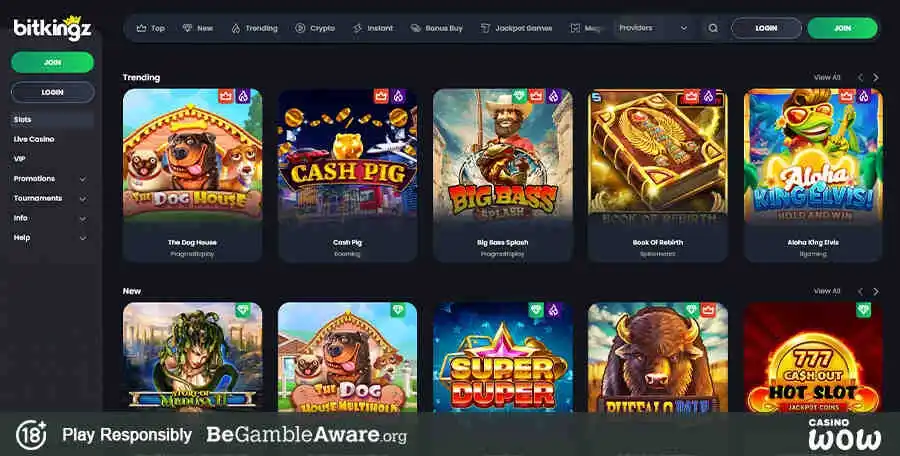BitKingz Kasino  casino review section 2